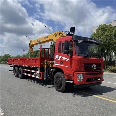 Macara montată pe camion cu braț drept-